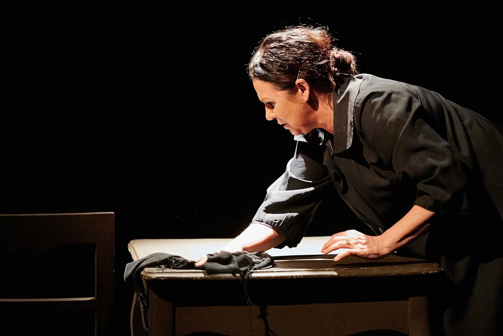 Małgorzata Pieńkowska, ZOFIA, Teatr w Oknie TWO - Technika Szkodziński